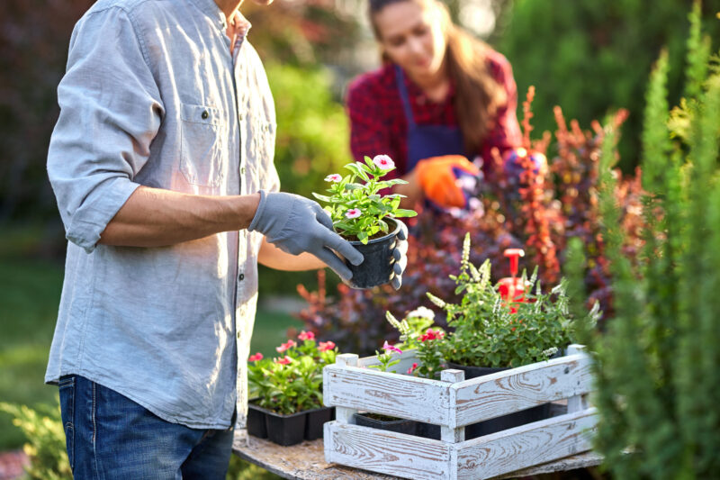 How to Start a Garden From Scratch That Everyone Will Love