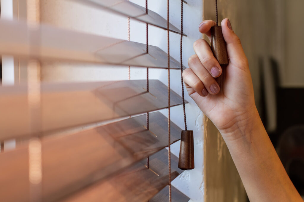 Shutters vs Blinds Which Is Right for Your Home? Ramone's World