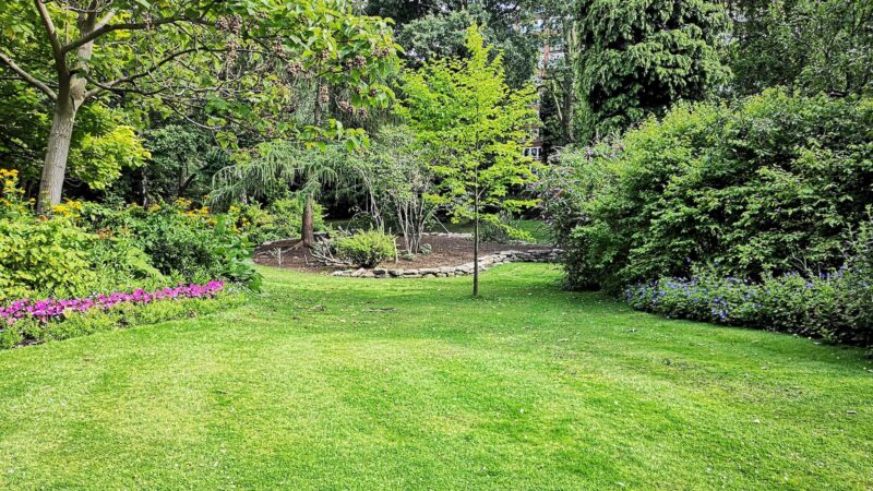 The Ultimate Landscape Renovation Checklist – What You Need to Know Before You Start