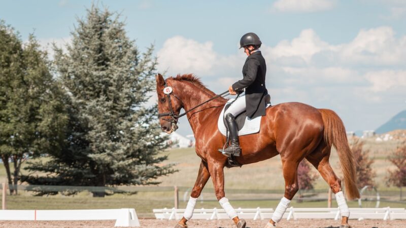 Equestrian Safety Tips – Protecting Yourself and Your Horse