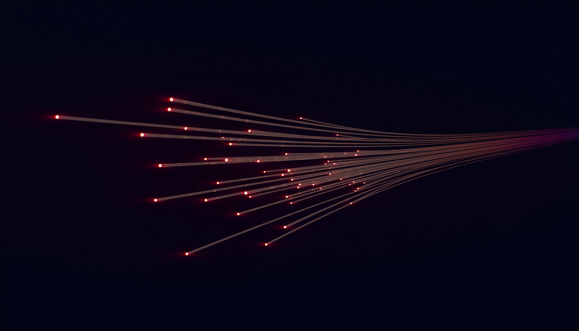 What to Look for in a Business Internet Service Provider